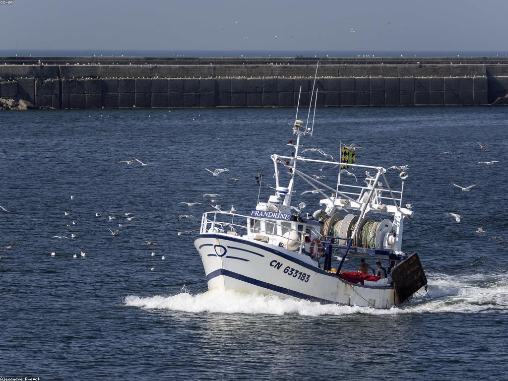 វិធីសាស្ត្រការបង្ហោះត្រីធំដែលអ្នកគួរដឹង