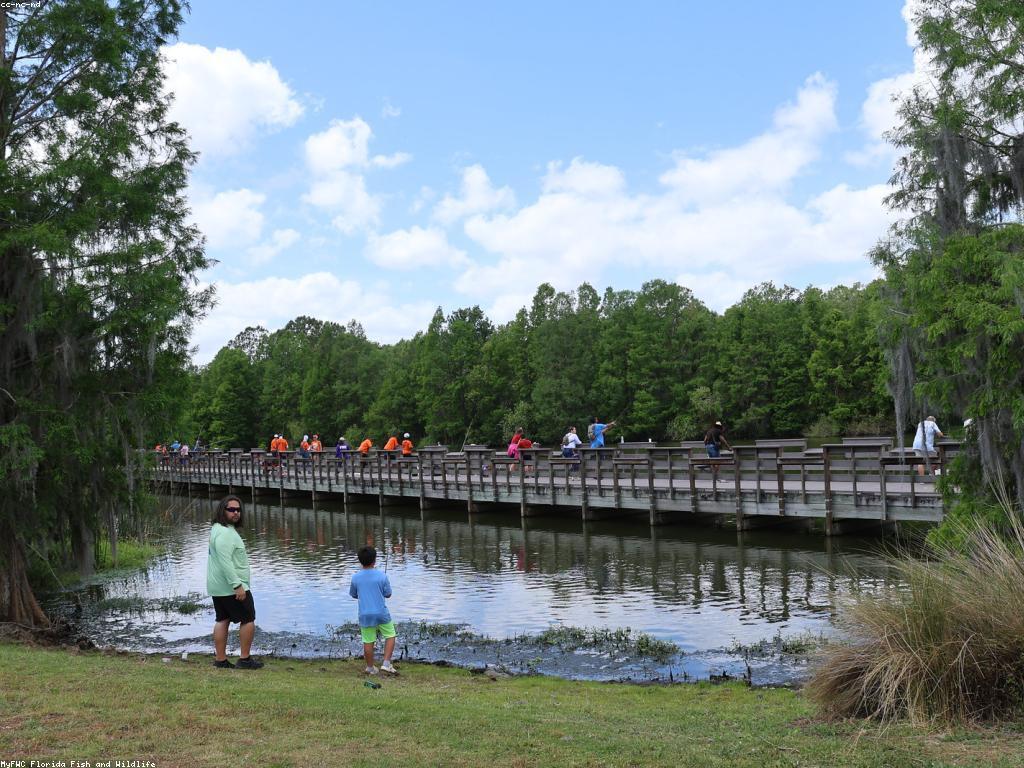 ការបង្ហោះត្រីធំ: វិធីសាស្រ្តចាប់ត្រីធំទាំងពីរ