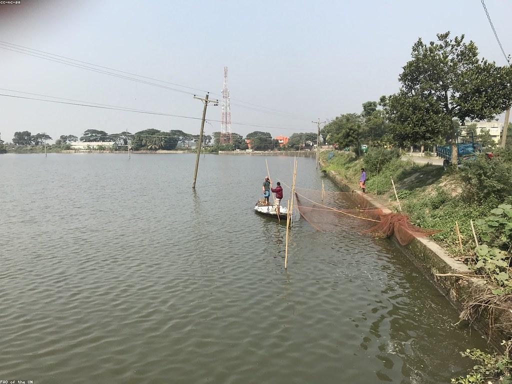 បច្ចេកទេសដ៏មានប្រសិទ្ធភាពសម្រាប់ការបង្ហោះត្រីធំ
