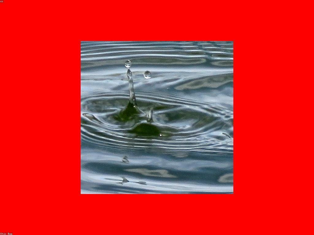 ការបង្ហោះត្រីធំ: វិធីសាស្ត្រដើម្បីទទួលបានត្រីធំ