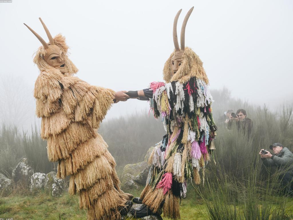 ទីតាំងល្អបំផុតសម្រាប់ការស្រាវជ្រាវវប្បធម៌