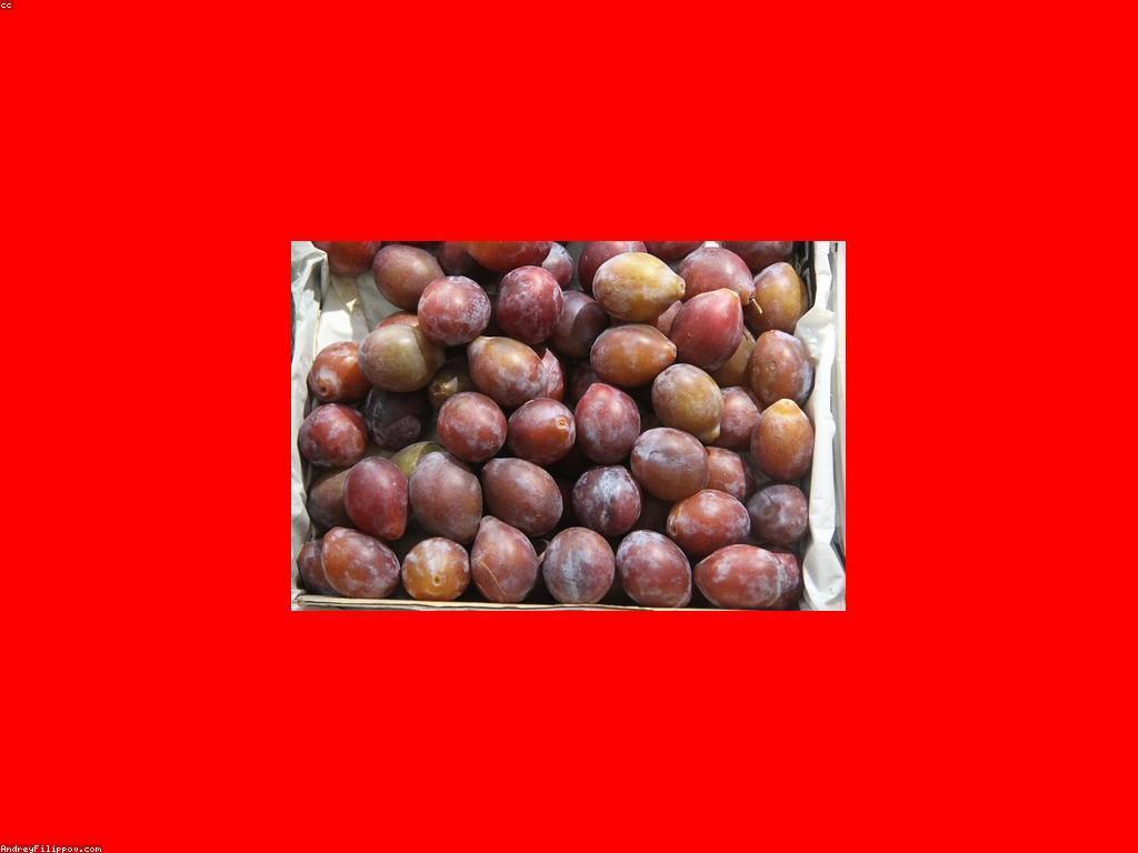 សារប្រយោជន៍នៃប្រភេទត្រីធំសម្រាប់សុខភាពមនុស្ស