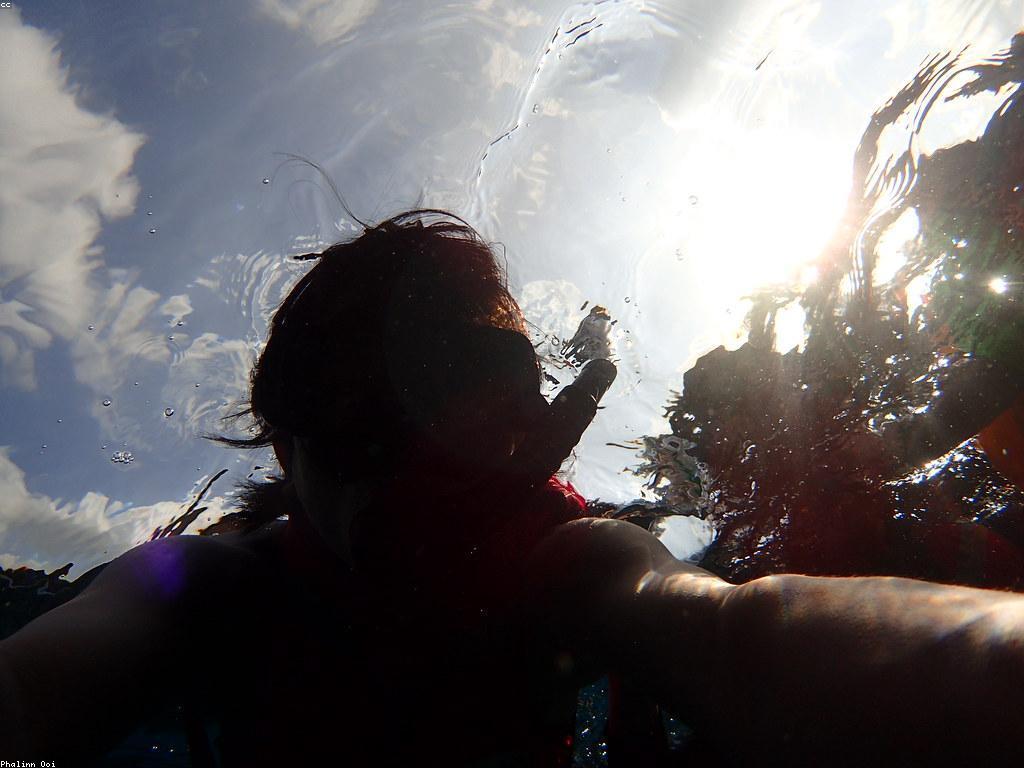 ការបំបែកត្រី៖ វិធីសាស្ត្រនិងការប្រើប្រាស់