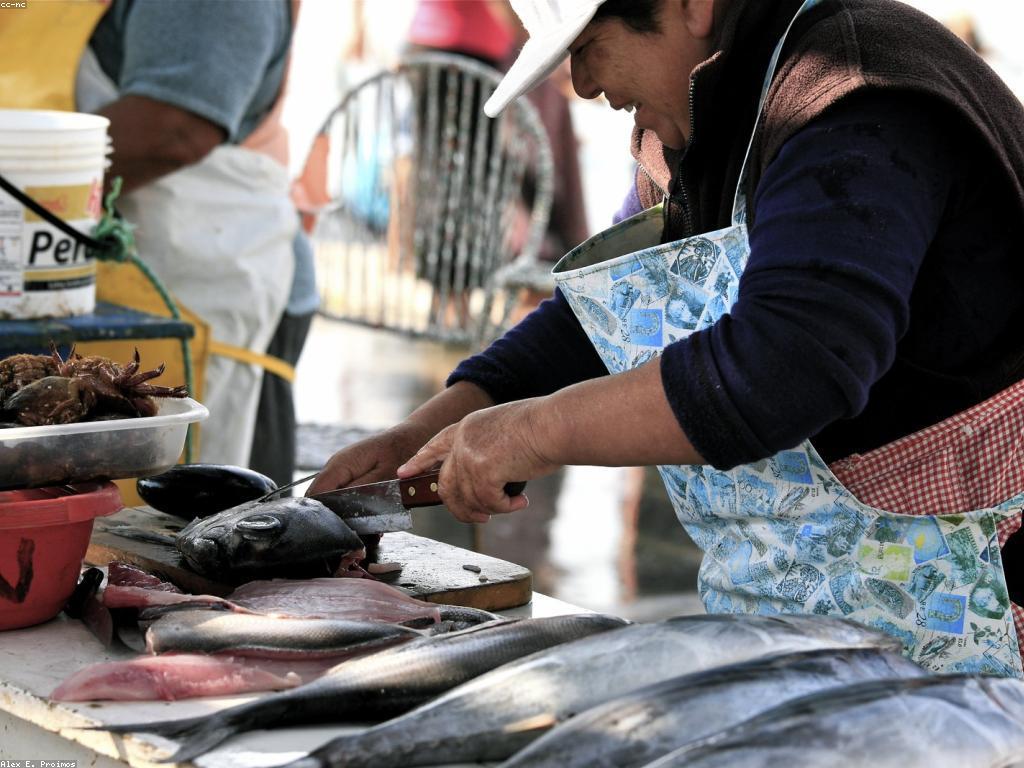 វិធីសាស្រ្តបំបែកត្រីអស្ចារ្យ